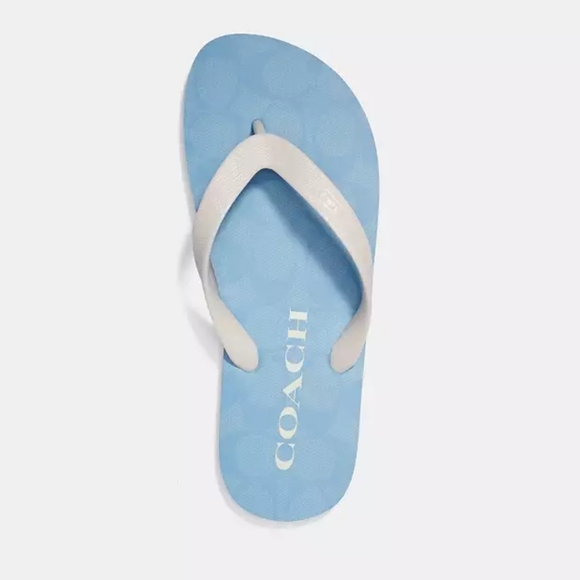 New! Zak Flip Flop in Chambray - Picture 1 of 6